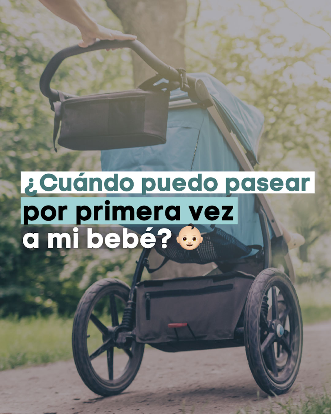 ¿Cuándo es correcto pasear a tu bebé por primera vez?