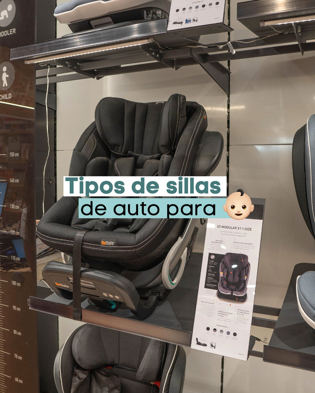 ¿Qué tipo de silla necesita tu hijo para el coche?
