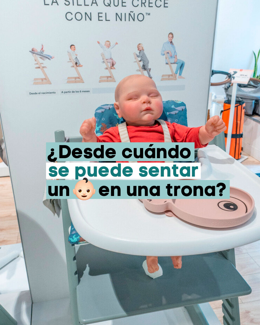 ¿Cuándo es el Momento Adecuado Para Sentar a tu Bebé en una Trona?