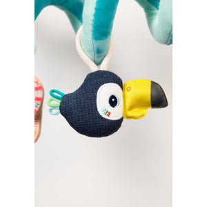 Selva espiral de actividad Lilliputiens