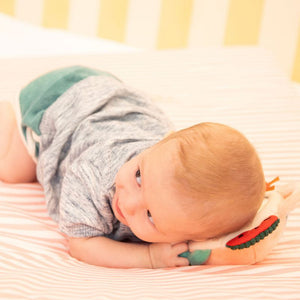 Espejo de actividades Jack Lilliputiens