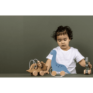 Juguete empuje Dino Jabadabado