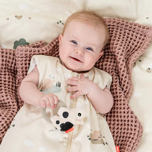 Mordedor sensorial " Dotti" Done by Deer