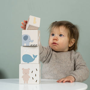 Caja Juega y Aprende 12–18 meses Jabadabado