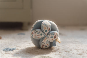Pelota sensorial montessori Litlte Dutch