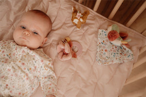 Caja regalo Fairy Garden Little Dutch