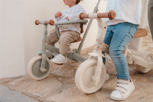 Triciclo con barra Little Dutch