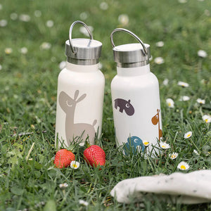 Botella Termo Metálica