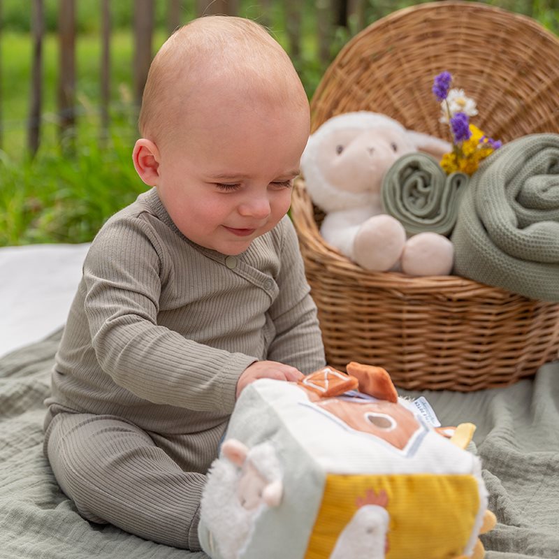 Cubo blandito de actividades Little Farm Little Dutch