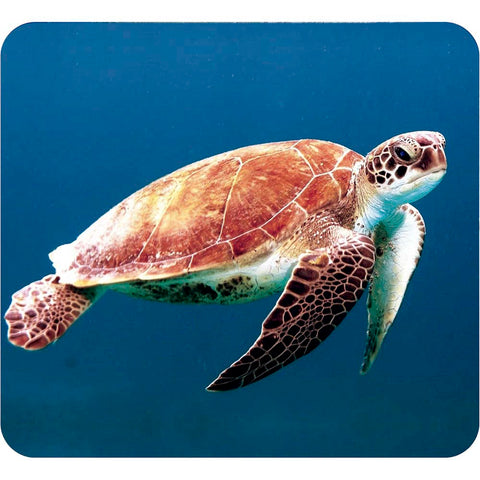 Proyector con Diapositivas Criaturas Marinas Bebés Moses