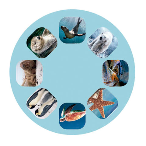 Proyector con Diapositivas Criaturas Marinas Bebés Moses