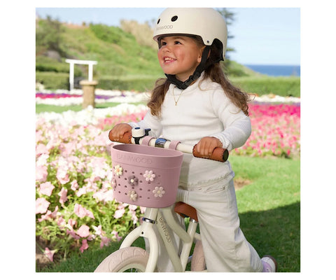 Cesta para patinete y bicicleta Banwood Pin & Ride