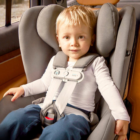 Accesorios auto