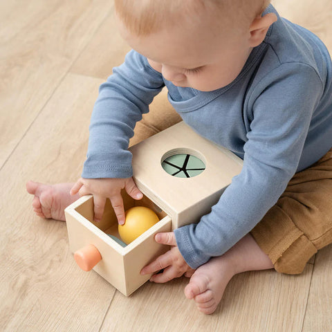 Caja hide&find nozo Done by Deer
