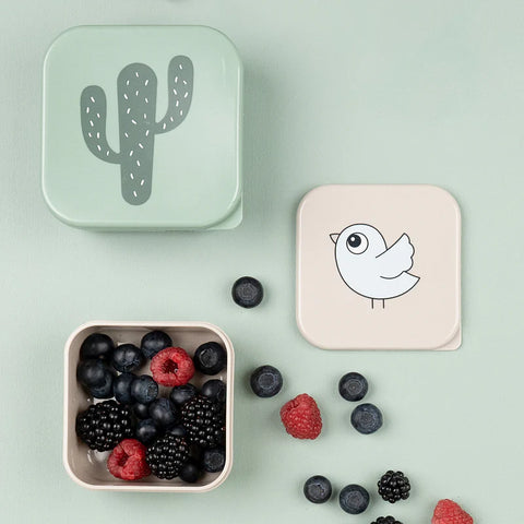 Set snack box 3 piezas Lalee Done by Deer