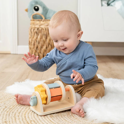 Juguete de Actividad Spinner - Birdee