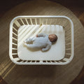 Minicuna Stokke Nighti Mini - imagen 2