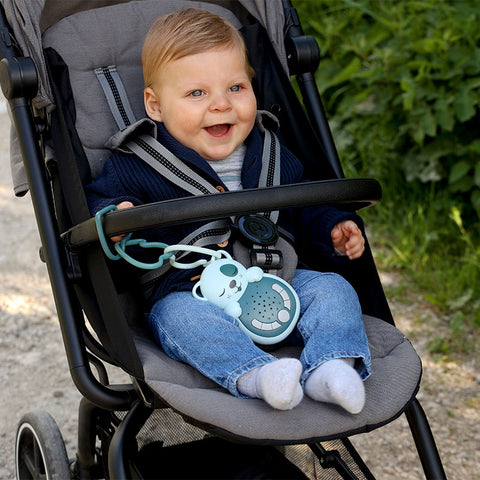 Peluche Musical con Luz Sweet Dreamz On the Go™ Cloud B