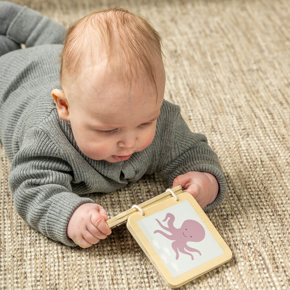 Caja Juega y Aprende 6–12 meses Jabadabado