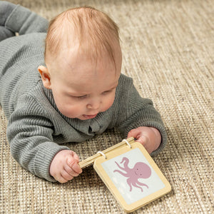 Caja Juega y Aprende 6–12 meses Jabadabado