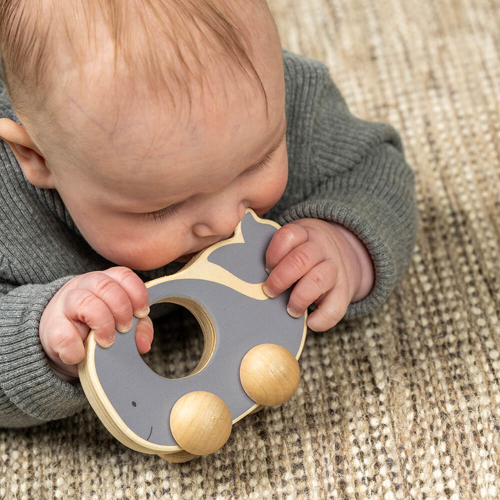 Caja Juega y Aprende 6–12 meses Jabadabado