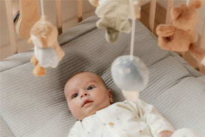 Móvil musical de madera Forest Firends Little Dutch