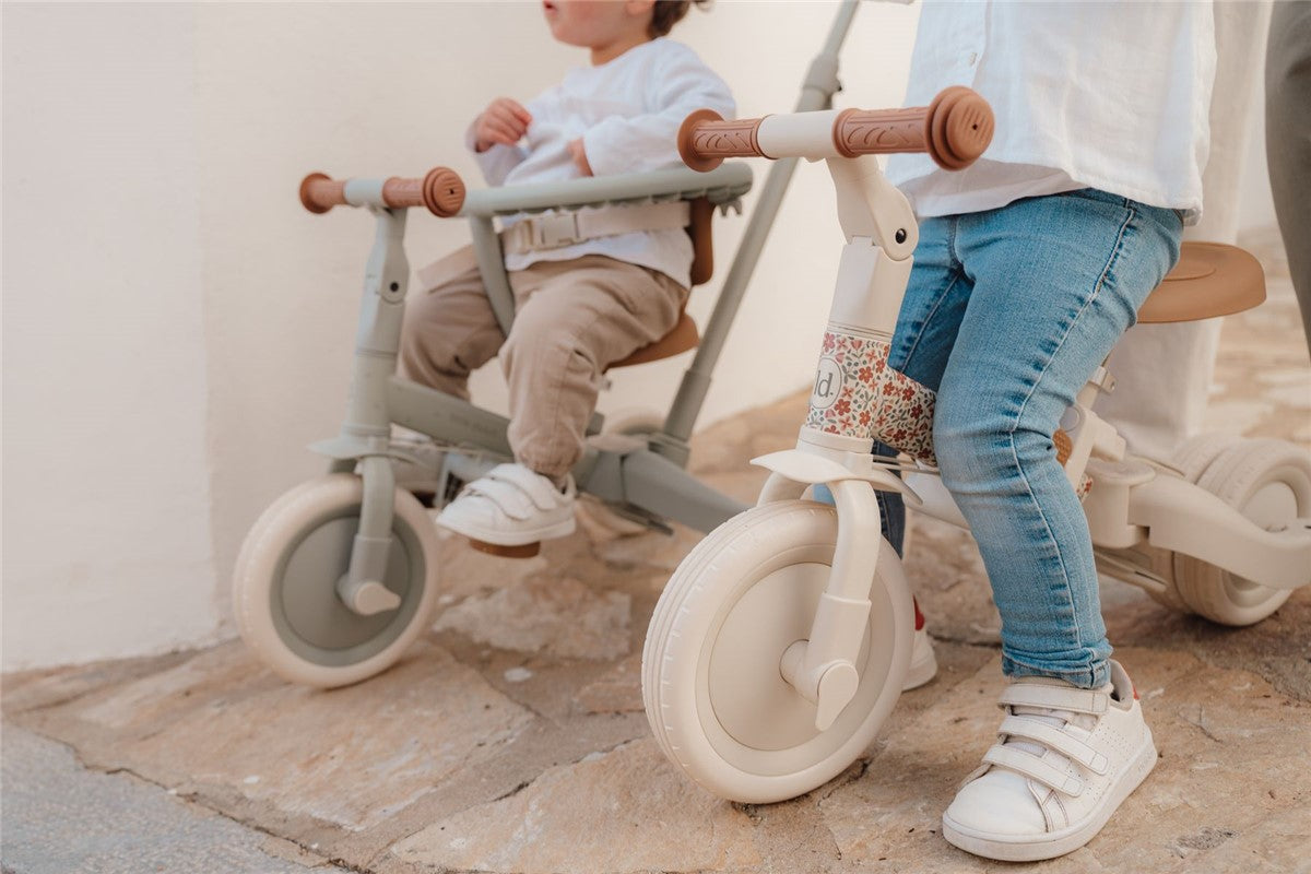 Triciclo con barra Little Dutch