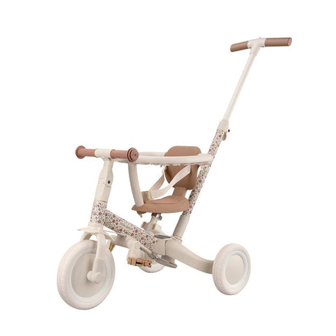 Triciclo con barra Little Dutch