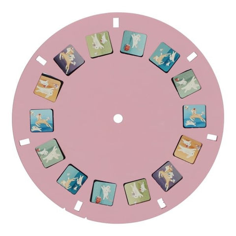 Visor de historias Fairy Garden Little Dutch
