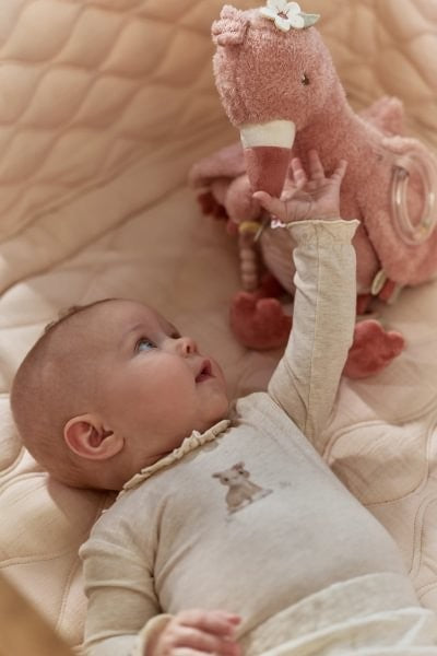 Flamenco de actividades Safari Friends Little Dutch