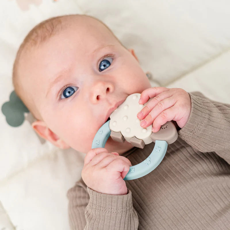 Mordedor "Sheepy" Done by Deer