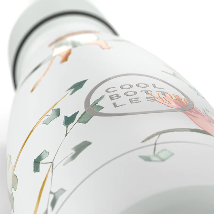 Botellas para niños de 260 ml Cool Bottles