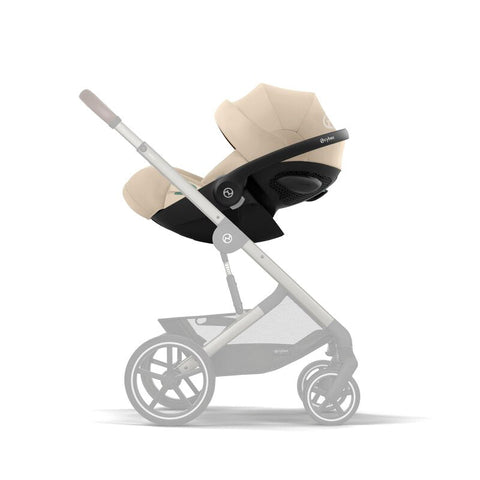 cloud Almond Beige (Plus) 7