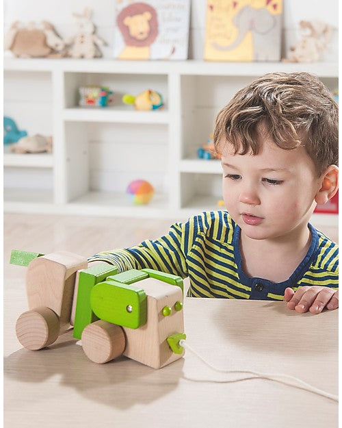 Perro de Arrastre EverEarth