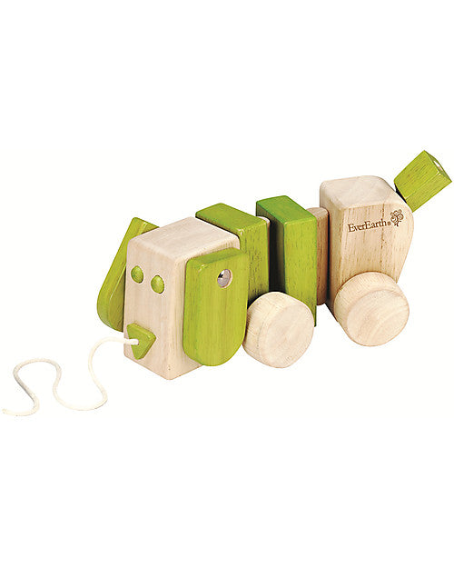 Perro de Arrastre EverEarth