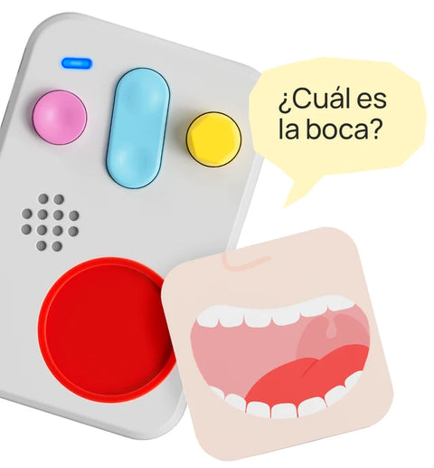 Primeros Descubrimientos: El Cuerpo FABA