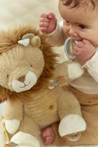 León de Actividades Safari Friends Little Dutch - imagen 8