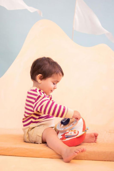 Panel de actividades para coche Granja Lilliputiens