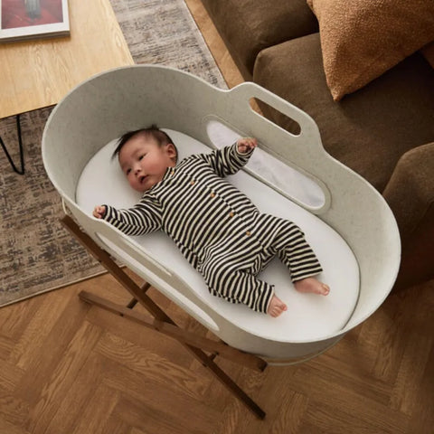 Moisés SnüzBaskit con soporte