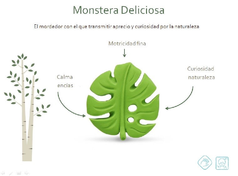 Mordedor monstera deliciosa