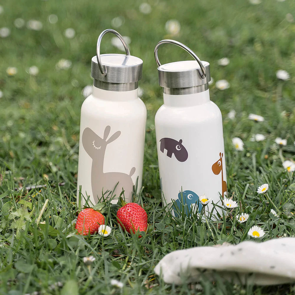 Botella Termo Metálica