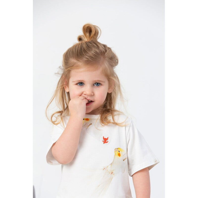 Parches Antimosquitos en caja de lata