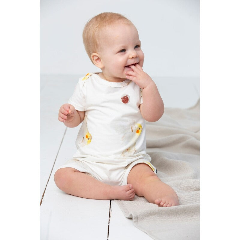 Parches Antimosquitos en caja de lata